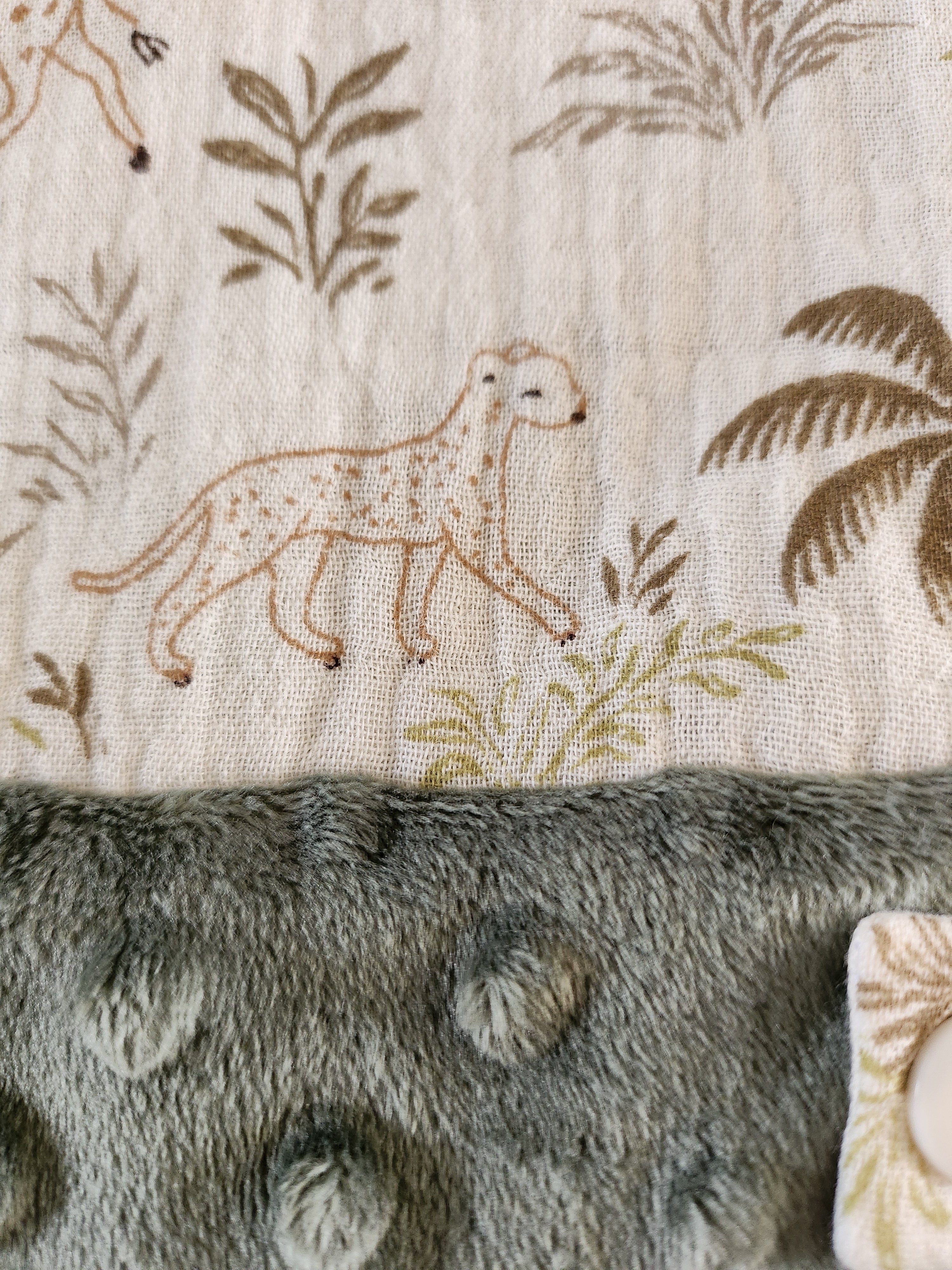 Carnet de santé savane